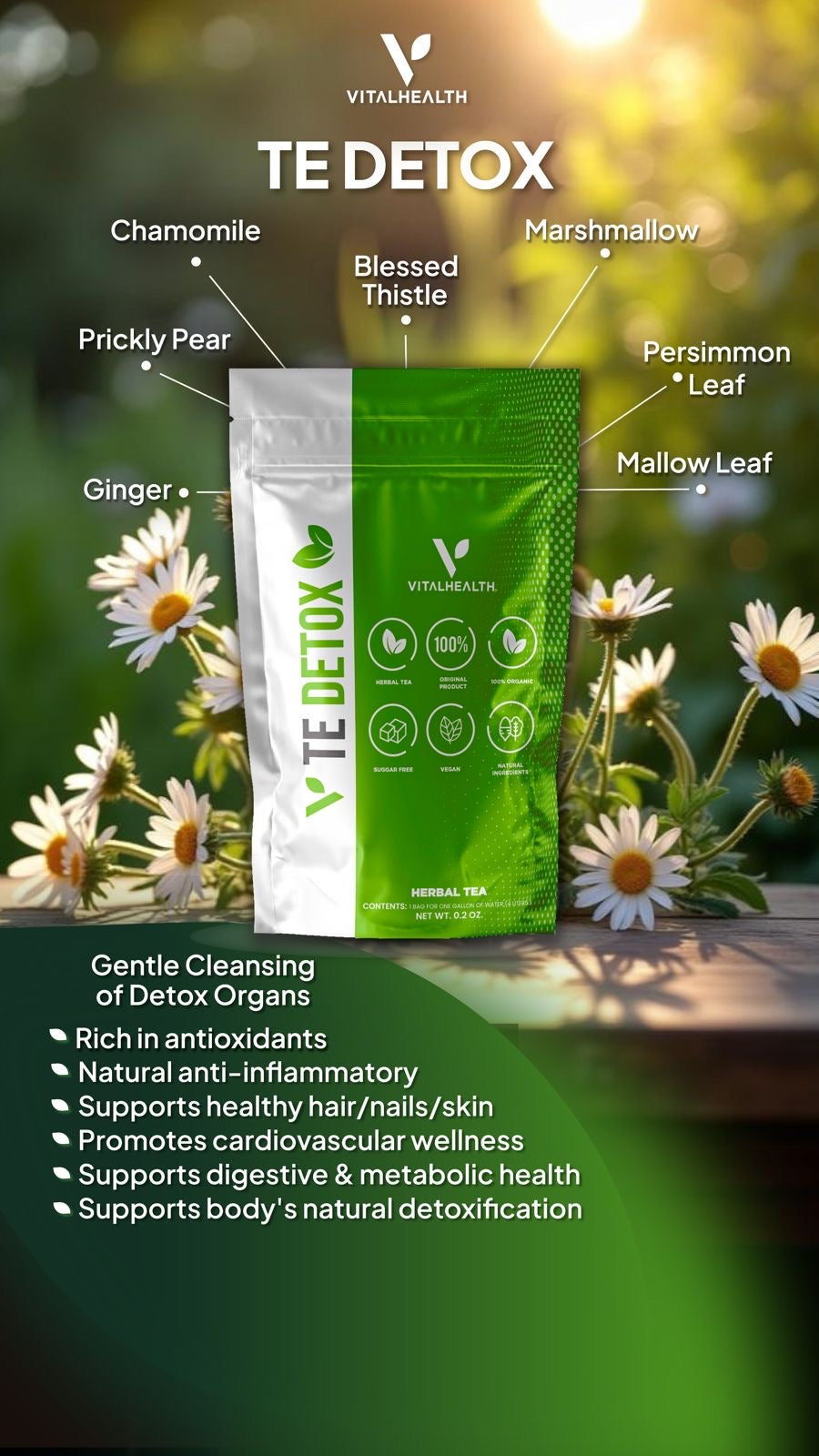 V-TEDETOX™ Botanical Detox, Digestive Support &amp; Daily Reset Tea