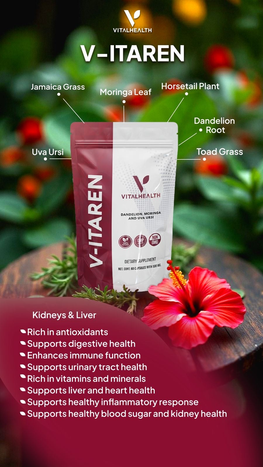 V-ITAREN™ Kidney Support, Hydration Balance &amp; Daily Vitality