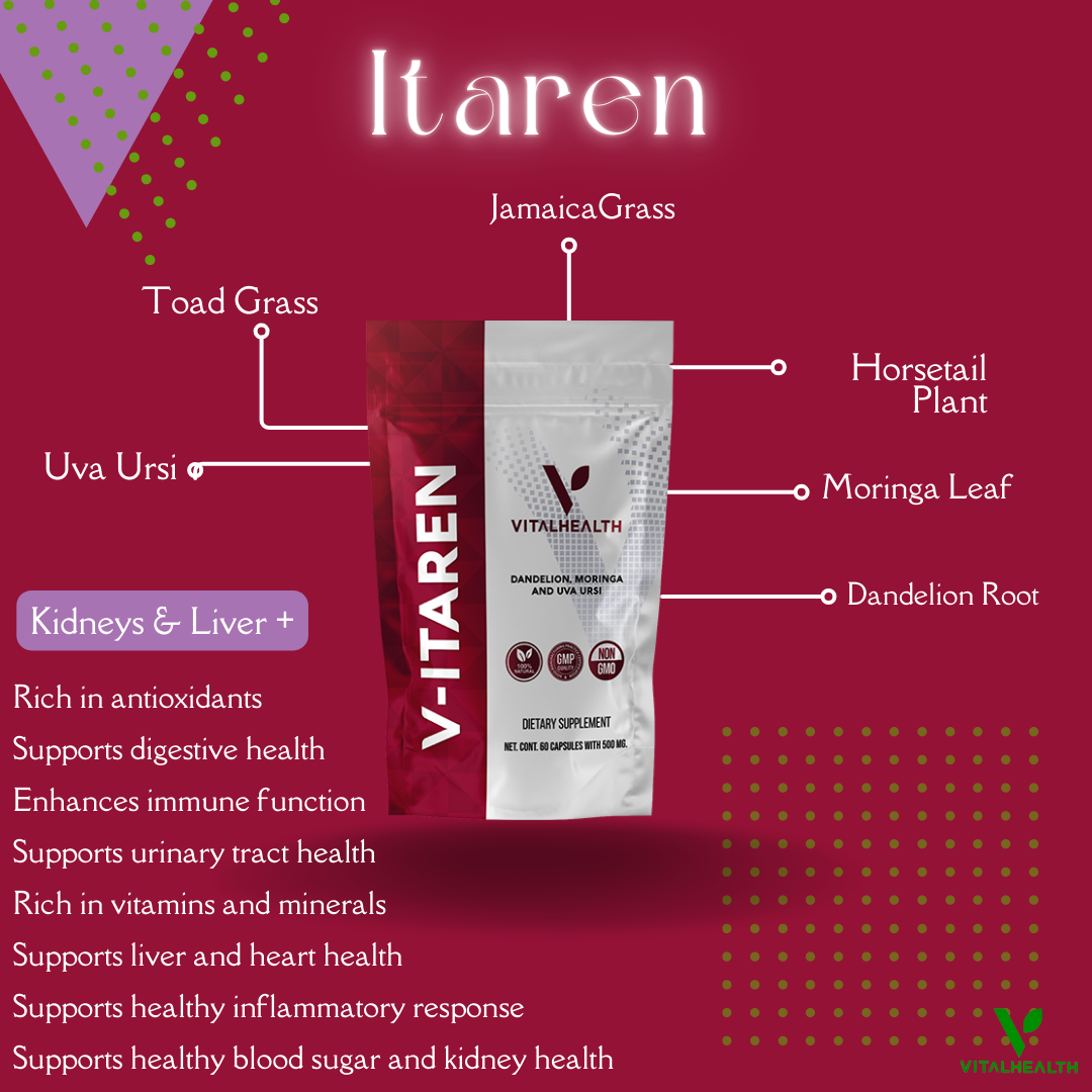 V-ITAREN™ Kidney Support, Hydration Balance &amp; Daily Vitality